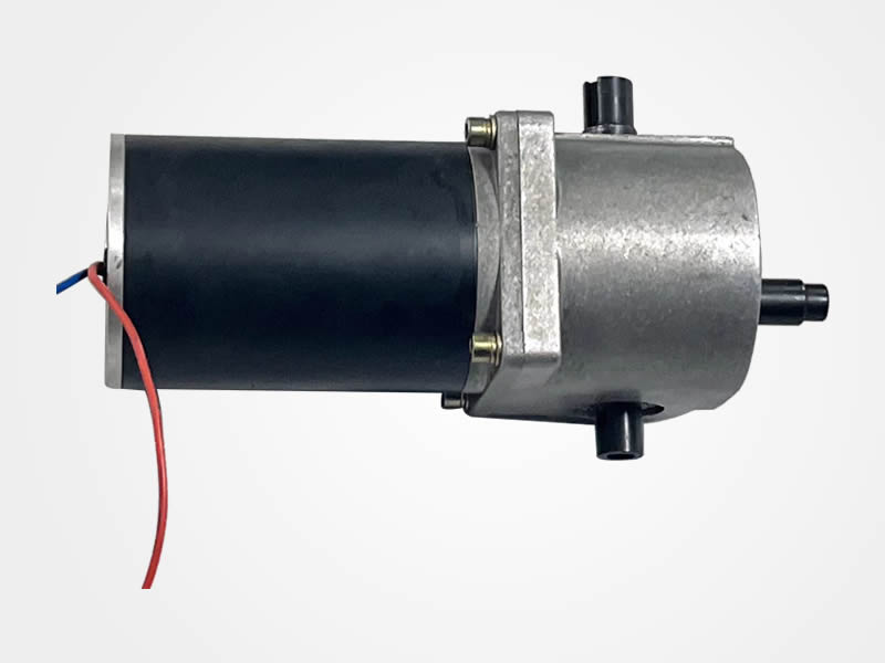 SBZ804-310W-1700r-220V